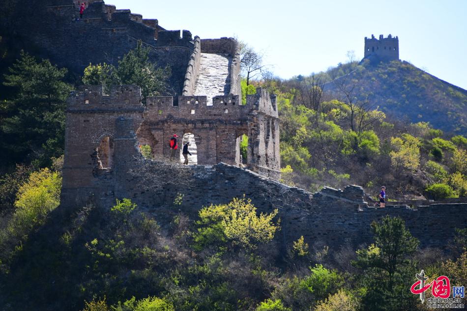 9岁男孩第12次跑马拉松 挑战最难长城马拉松