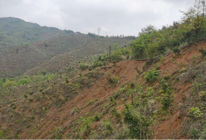 黄山：太平湖流域局部生态破坏问题依然突出