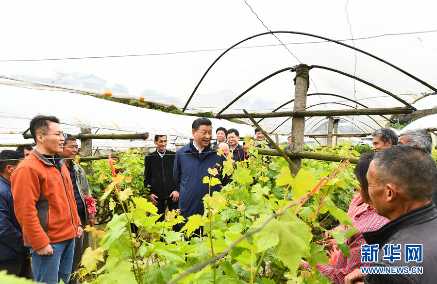 习近平：建设新时代中国特色社会主义壮美广西