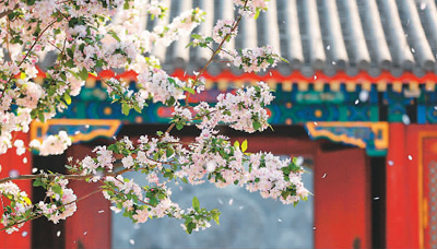 恭王府举办“海棠雅集”