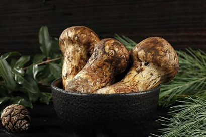 五一旅游推荐:四川茂县最受欢迎的网红打卡地