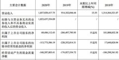 金种子酒：2020年营收10.38亿元，扭亏为盈