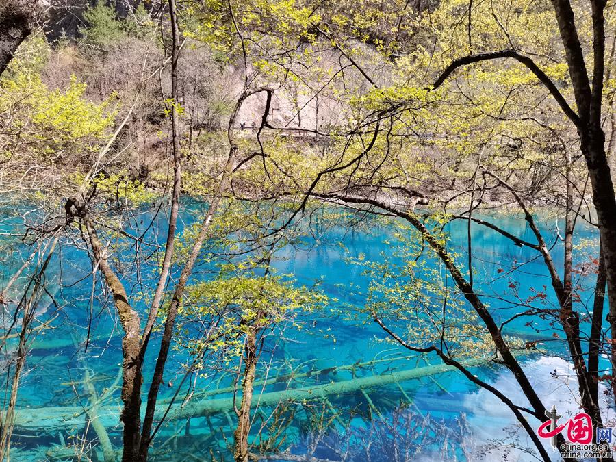 五一旅游推荐:网红打卡地九寨沟让人更喜爱