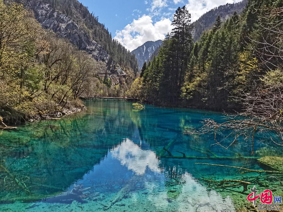 五一旅游推荐:网红打卡地九寨沟让人更喜爱