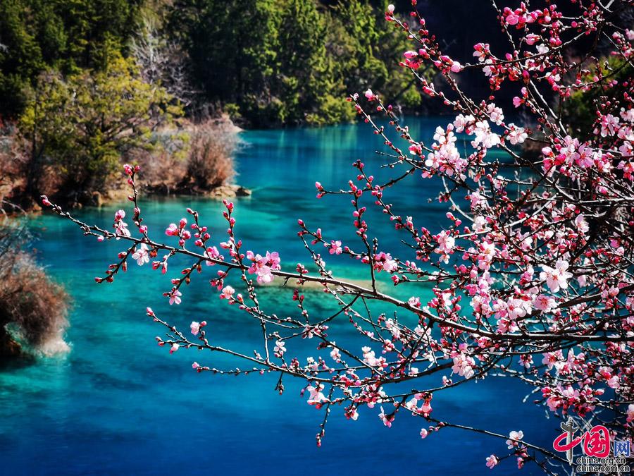 五一旅游推荐:网红打卡地九寨沟让人更喜爱