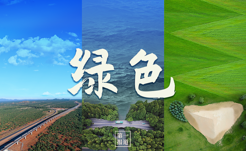 第一报道 | 建设美丽地球家园 习主席提到这些“高频词”