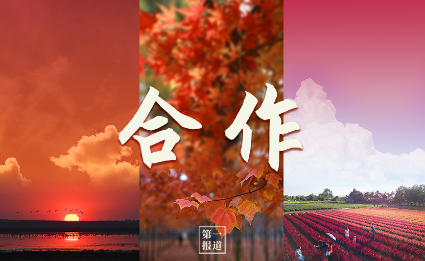 第一报道 | 建设美丽地球家园 习主席提到这些“高频词”