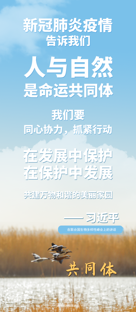 第一报道 | 建设美丽地球家园 习主席提到这些“高频词”