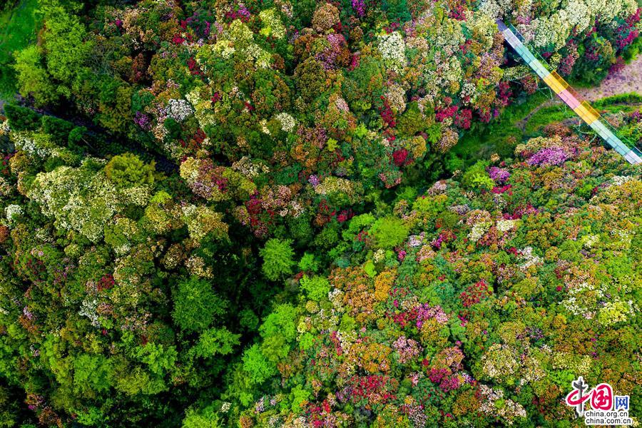 贵州，除了美景美酒 “无辣不欢”美食更值得品味