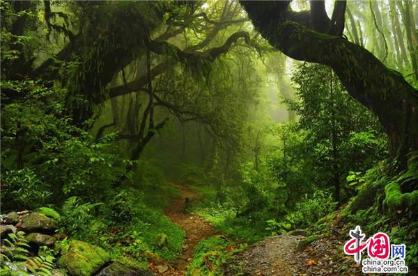 五一旅游推荐:来海螺沟 重走一次长征路线