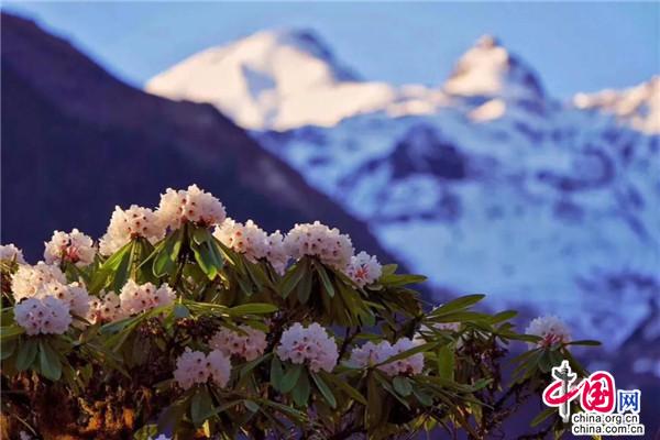 五一旅游推荐:来海螺沟 重走一次长征路线