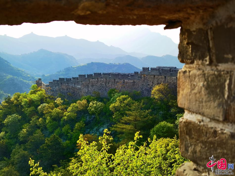 金山岭长城：立夏之日草木葱茏 一派生机勃勃