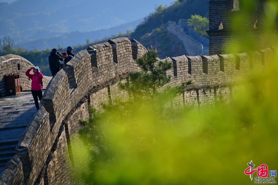 金山岭长城：立夏之日草木葱茏 一派生机勃勃