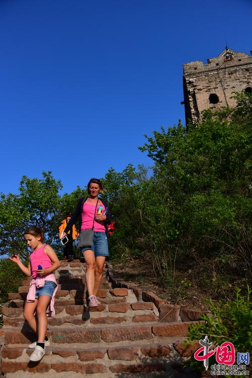 金山岭长城：立夏之日草木葱茏 一派生机勃勃