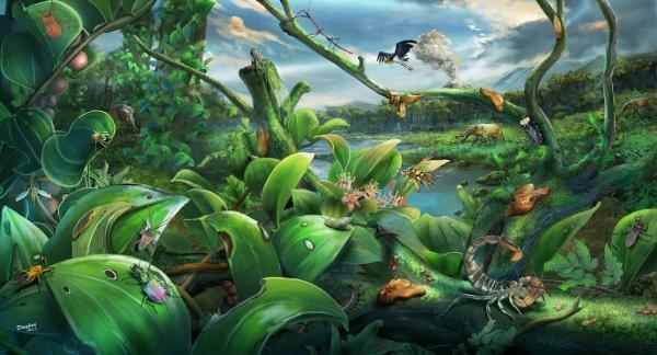 漳浦生物群生态复原图。中国科学院南京地质古生物研究所供图南古所供图摄