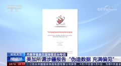 丹麦学者奥贝里接受总台专访：美加所谓涉疆报告“伪造数据 充满偏见”