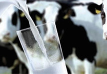 乳企“百亿俱乐部”拿下近八成营收，科迪乳业成亏损王