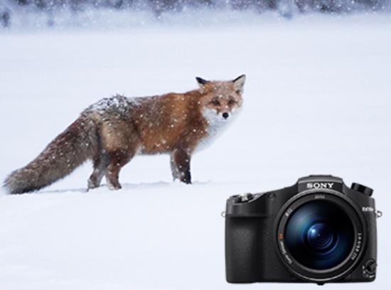 索尼决定停产数码单反产品线：未来重心将转移至无反相机