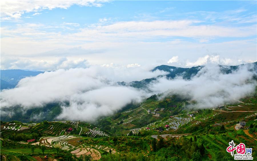 湖南溆浦：山背花瑶梯田美如画（组图）
