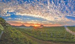 奔走在湘西大地上（我们这里的年轻人）