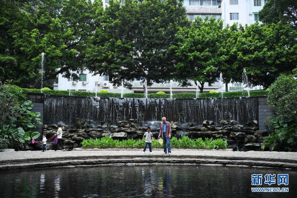 潮涌珠江，听总书记与大湾区的故事