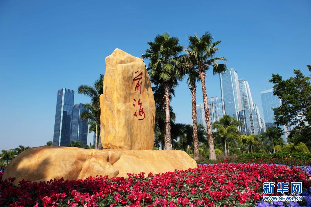 潮涌珠江，听总书记与大湾区的故事