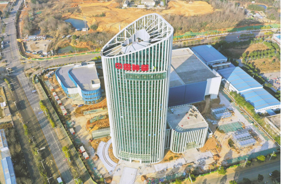 【中国共产党百年长江情·绿色篇】农业“中国芯”挺起民族种业脊梁