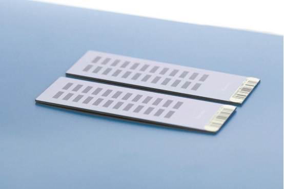 【中国共产党百年长江情·绿色篇】农业“中国芯”挺起民族种业脊梁