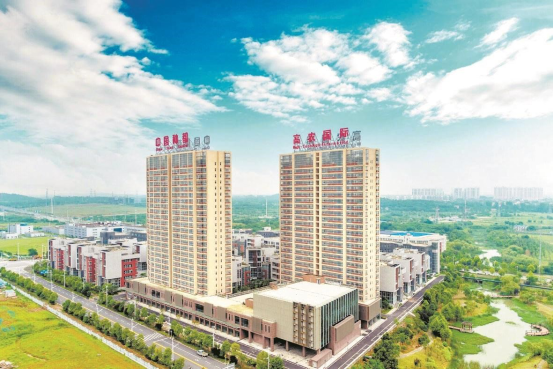 【中国共产党百年长江情·绿色篇】农业“中国芯”挺起民族种业脊梁