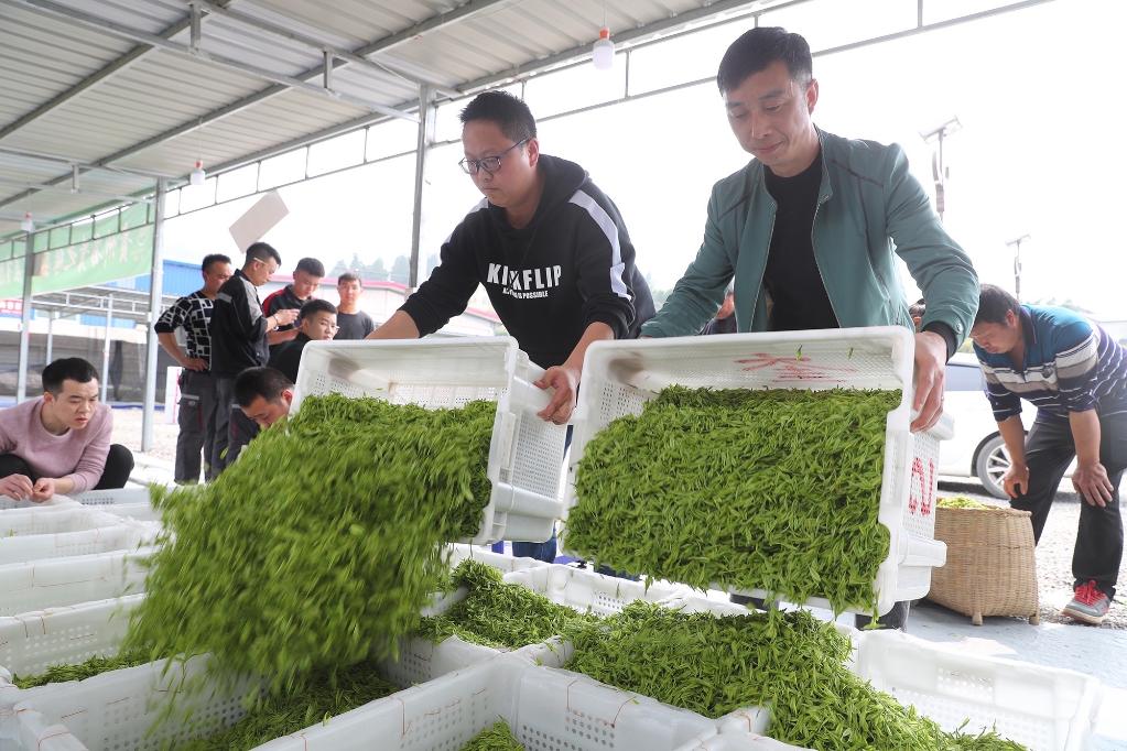 “转折之城”，满满“转折之志”——习近平总书记到过的红色圣地之贵州篇