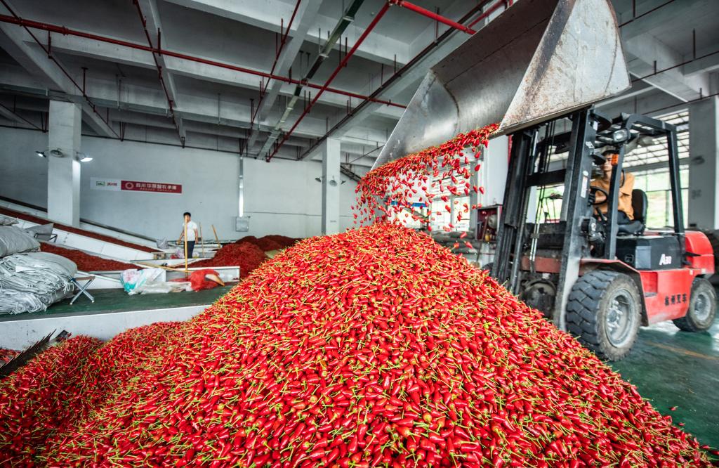 “转折之城”，满满“转折之志”——习近平总书记到过的红色圣地之贵州篇