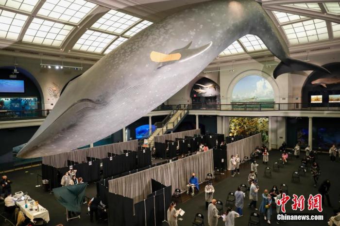 美媒：美国疫苗余量惊人 不与他国分享是“道德暴行”