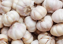 新蒜收购价同比翻倍 ，“蒜你狠”又回来了？