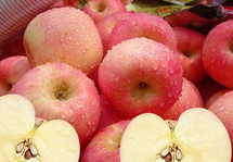 种一斤亏三毛 苹果为何现“白菜价”？