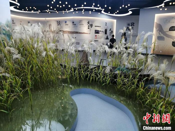 草房子乐园文学馆内景。　顾名筛摄