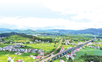 坚持民主集中制 凝聚智慧和力量(深度关注·把好传统带进新征程⑩)