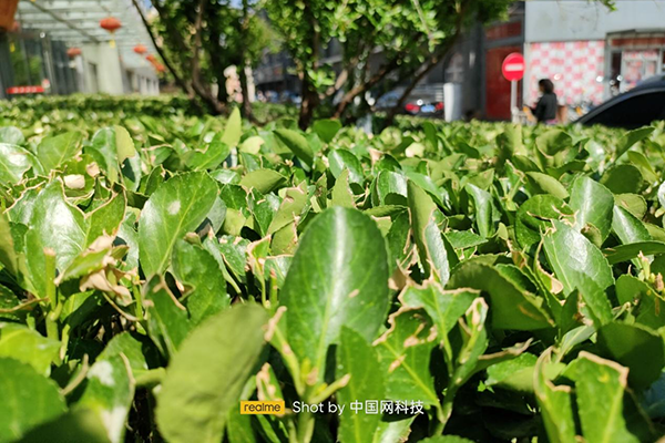 realme真我 Q3 Pro狂欢版上手体验：为节日应运而生 千元机再添新利器