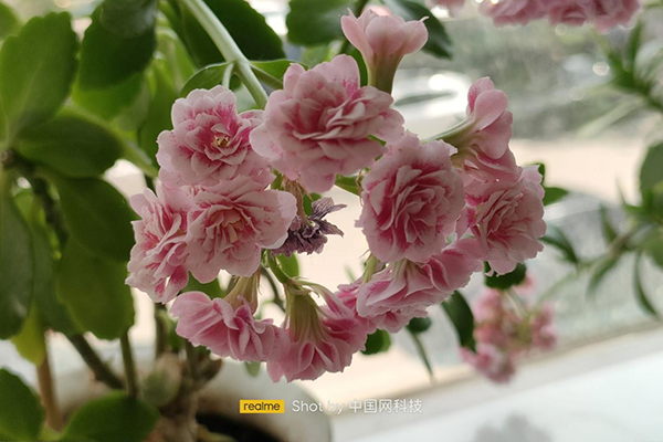 realme真我 Q3 Pro狂欢版上手体验：为节日应运而生 千元机再添新利器