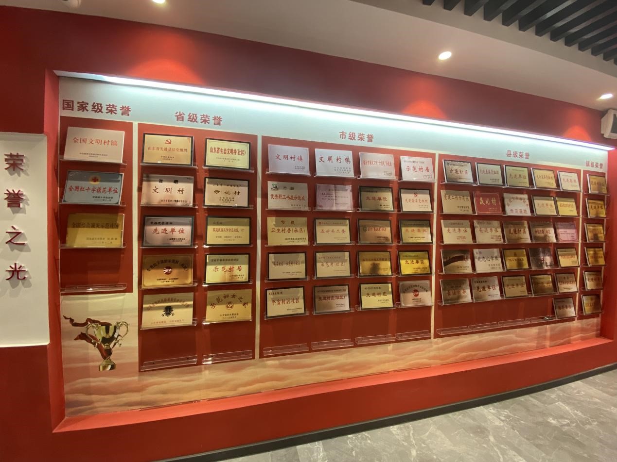 网络媒体革命老区行|山东费县王富社区走出乡村振兴特色幸福路