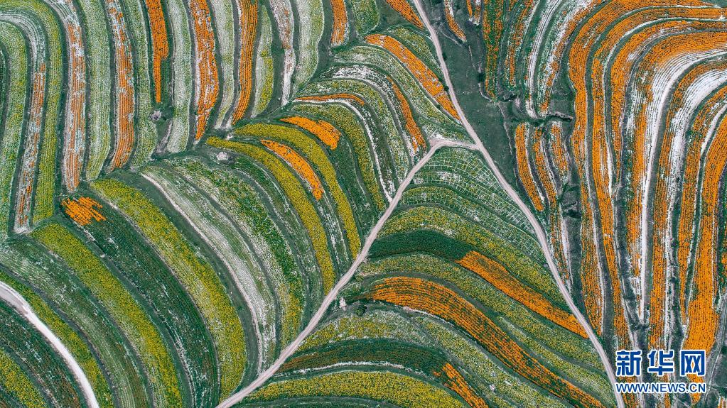 奋斗百年路 启航新征程·神州巡礼丨宁夏：跨越千年贫困 向“新”加速先行