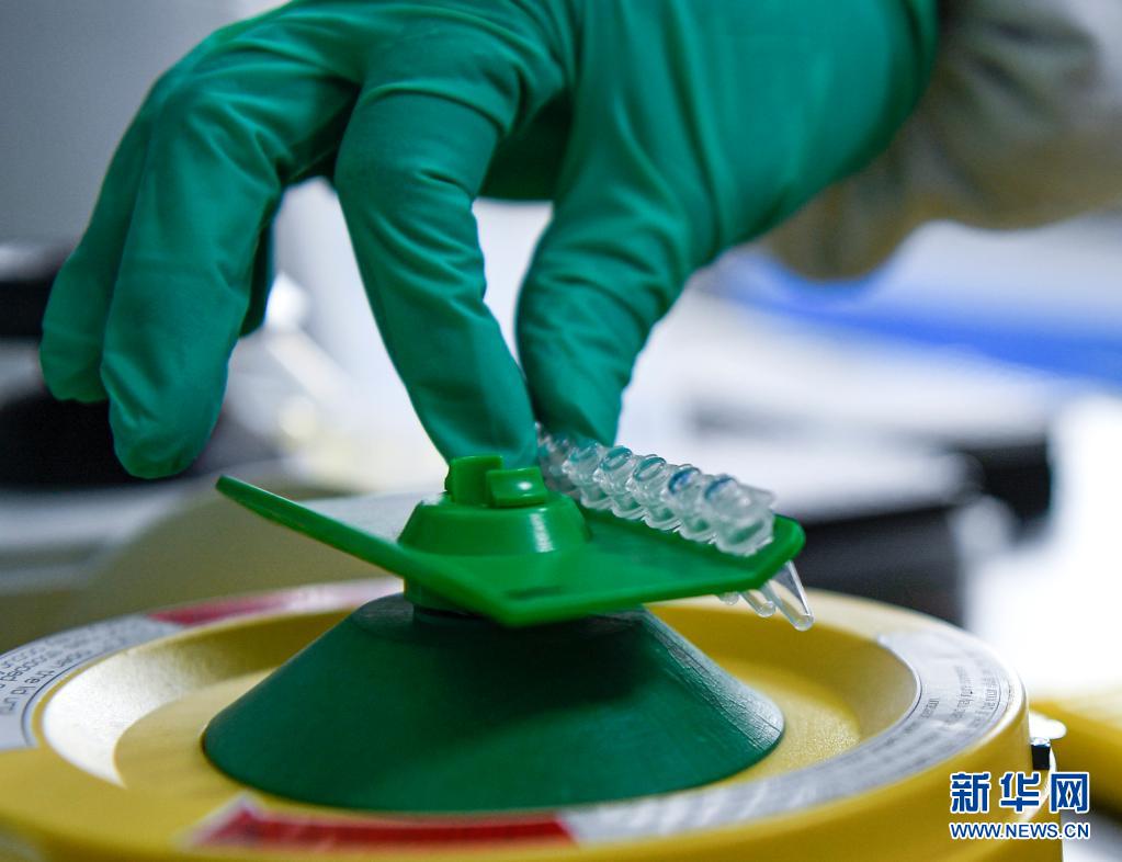 奋斗百年路 启航新征程·神州巡礼丨宁夏：跨越千年贫困 向“新”加速先行