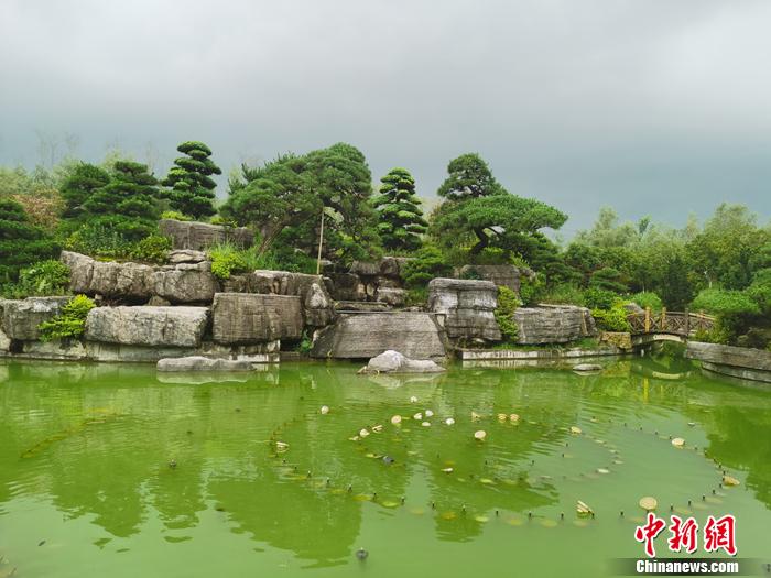 【网络媒体革命老区行】从荒地到花海 伟人故里湘潭打造绿色名片