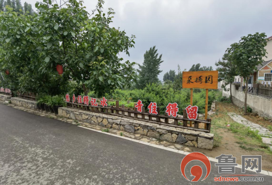 【网络媒体革命老区行】发挥资源优势 枣庄市山亭区绘就乡村振兴新画卷