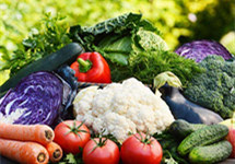 “菜篮子”有保障 猪肉供给根本性好转