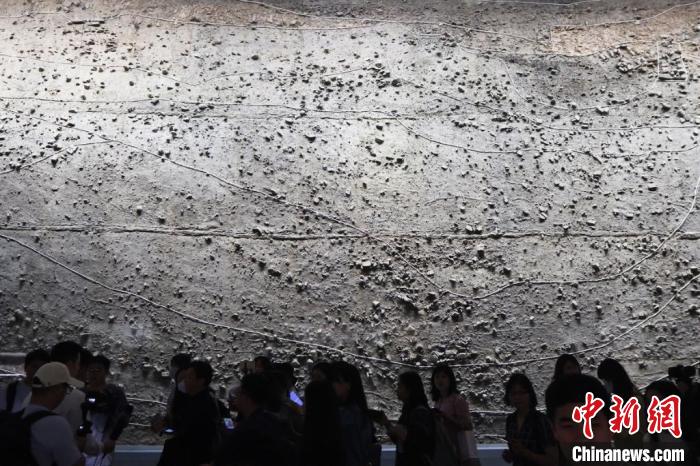 图为展出的“巨幕”老汴河河道剖面。　泱波摄