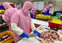 破解“猪周期”下行困境 养猪大户发展屠宰加工业务可行吗