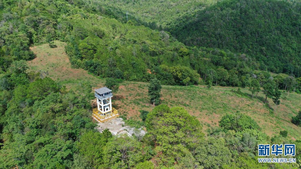 【跟着大象看生态】大象食堂“约饭”记