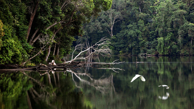 【跟着大象逛云南·“象”滇记】②普洱:“象”见恨晚的地方