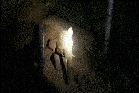 【跟着大象逛云南·“象”滇记】②普洱:“象”见恨晚的地方