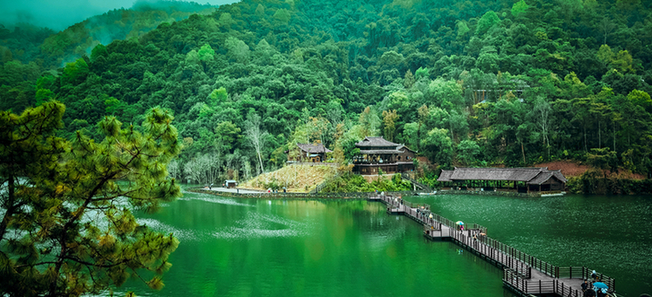 【跟着大象逛云南·“象”滇记】②普洱:“象”见恨晚的地方